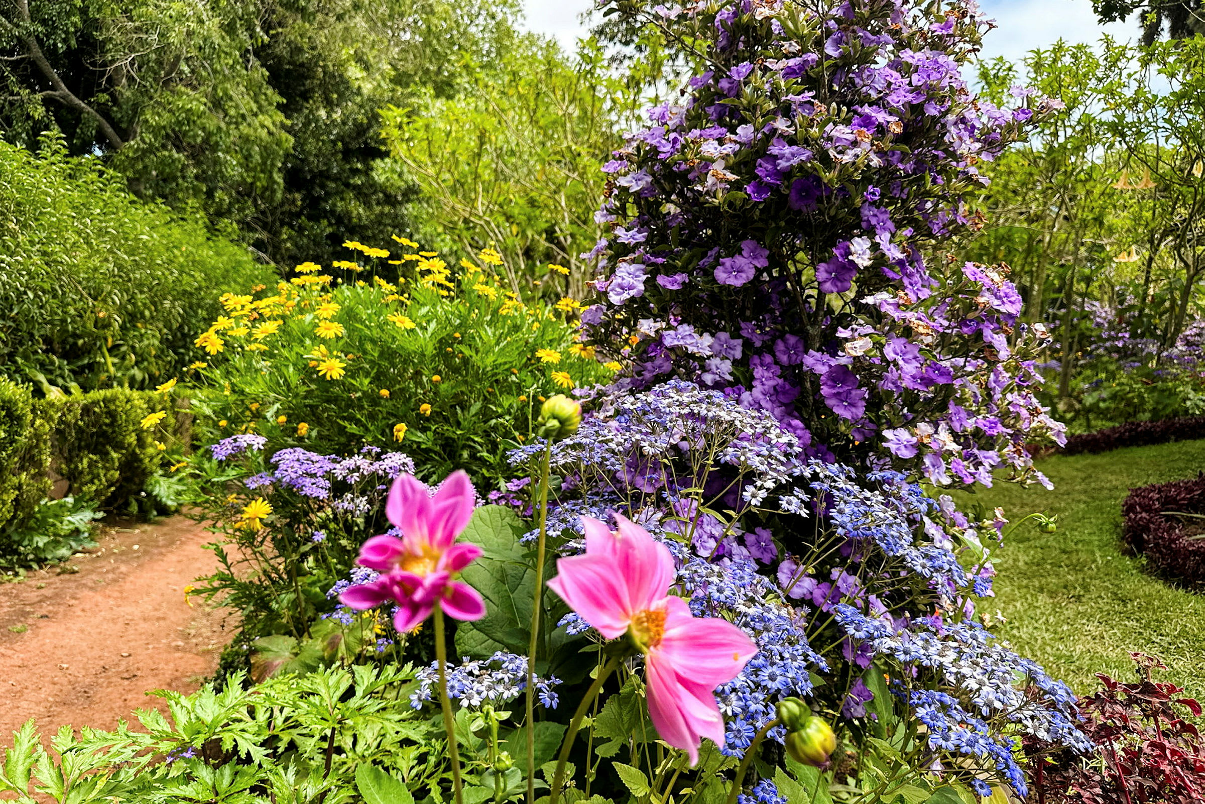 En farverig have med lyserøde, gule, lilla og blå blomster. (AI-genereret tekst)