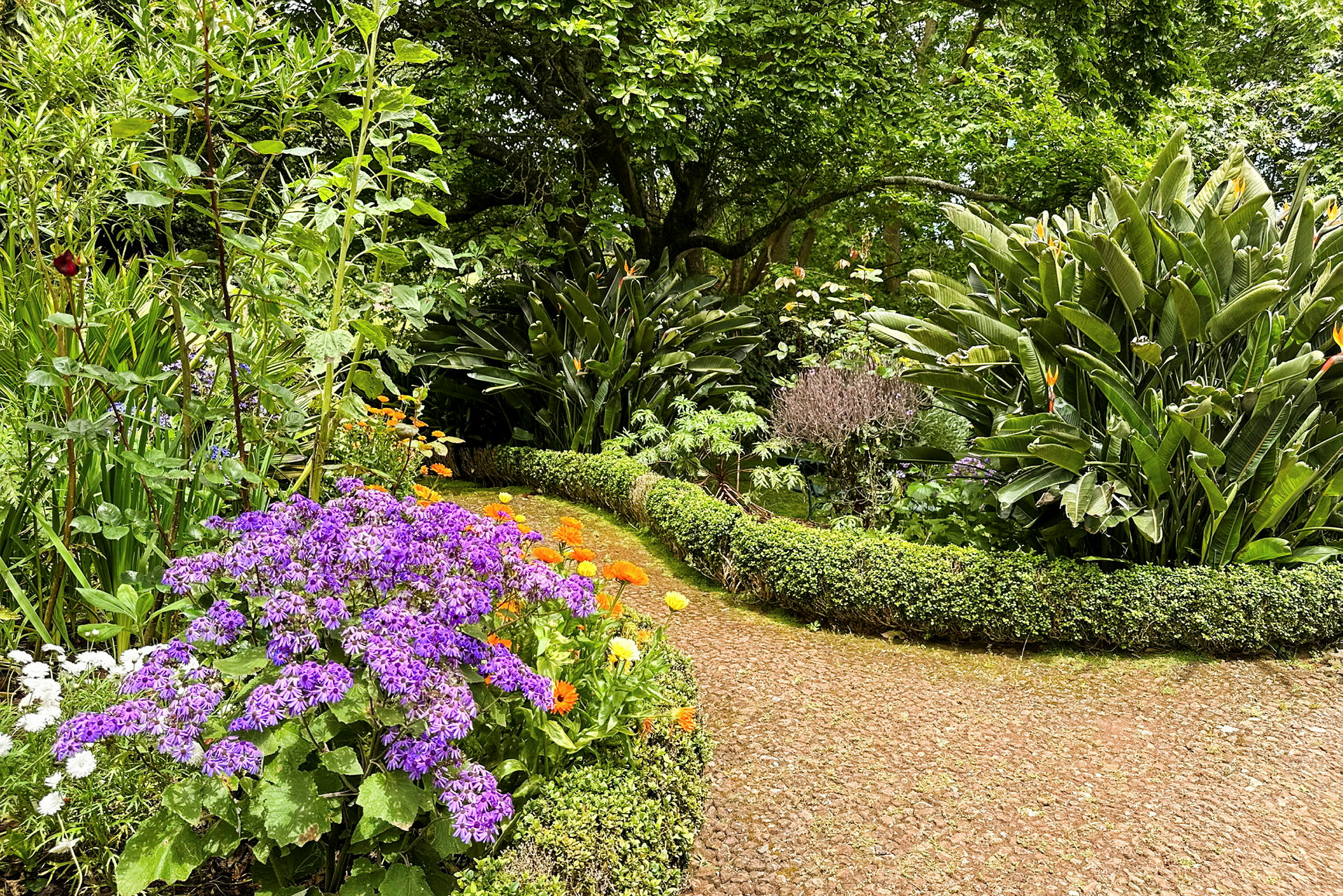 En frodig have med en sti omgivet af farverige blomster og grønne planter. (AI-genereret tekst)
