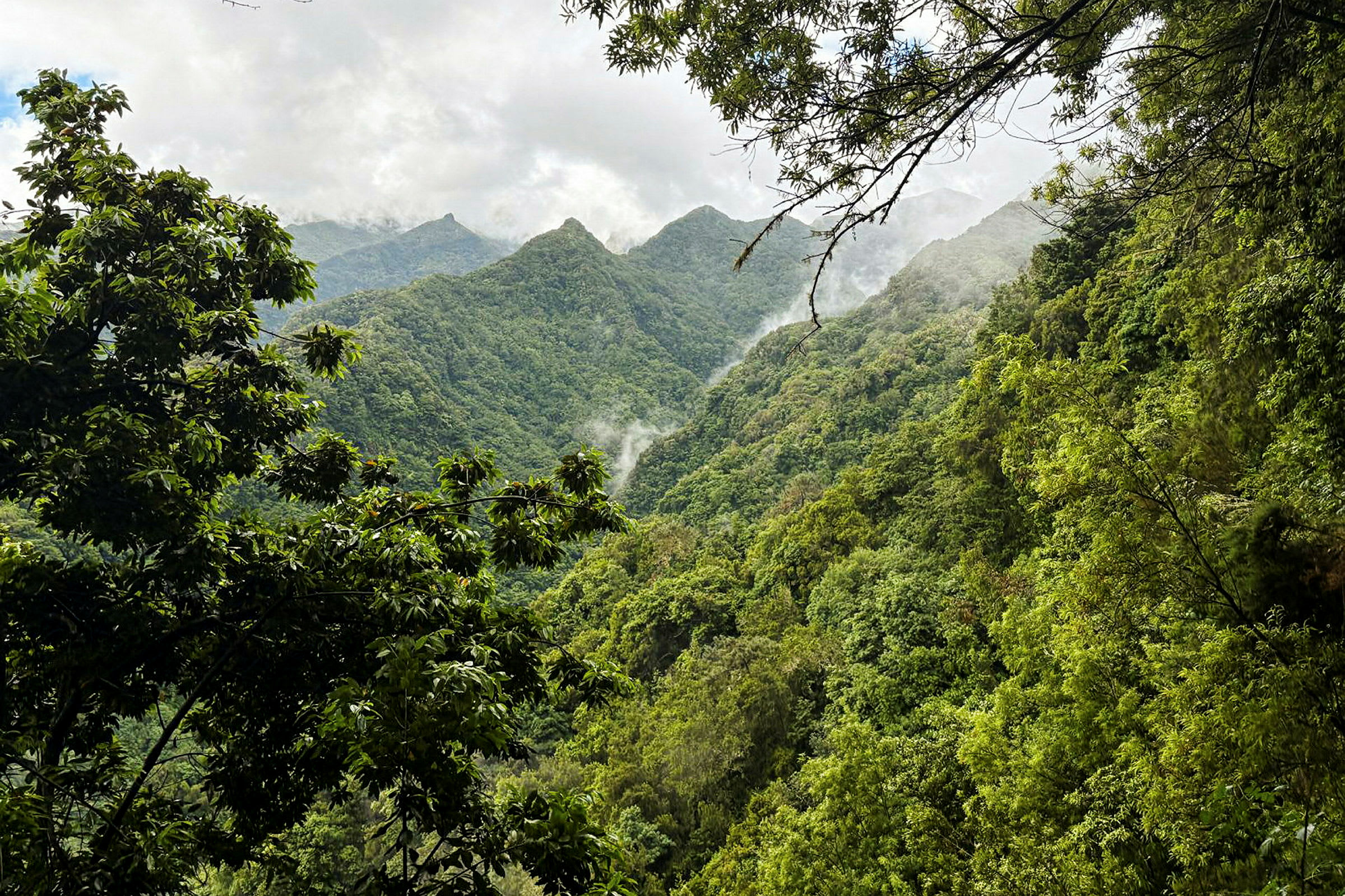 Vandring langs Levada do Rei (PR 18)