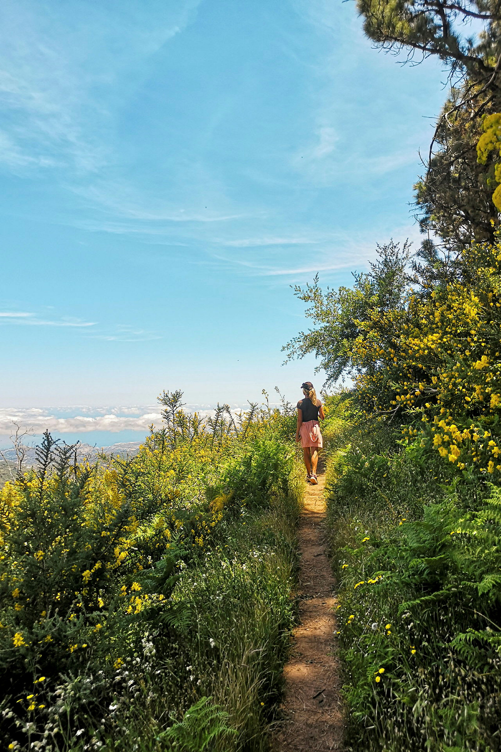 En person går på en sti omgivet af grønt og gule blomster under en klar blå himmel. (AI-genereret tekst)
