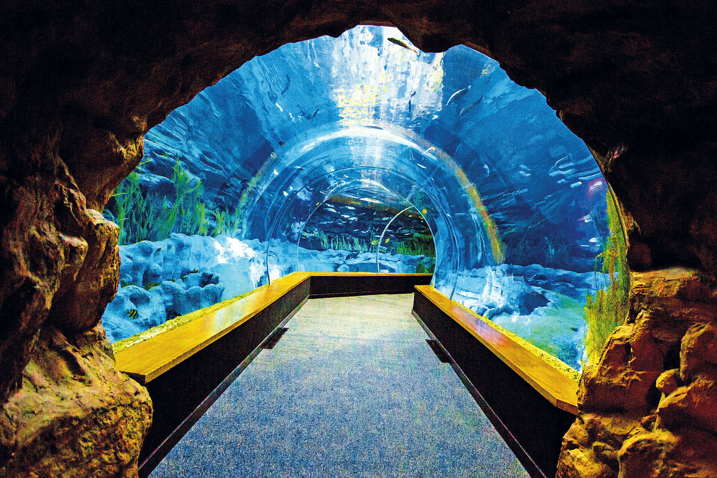 En undervandstunnel i et akvarium med panoramaudsigt. (AI-genereret tekst)