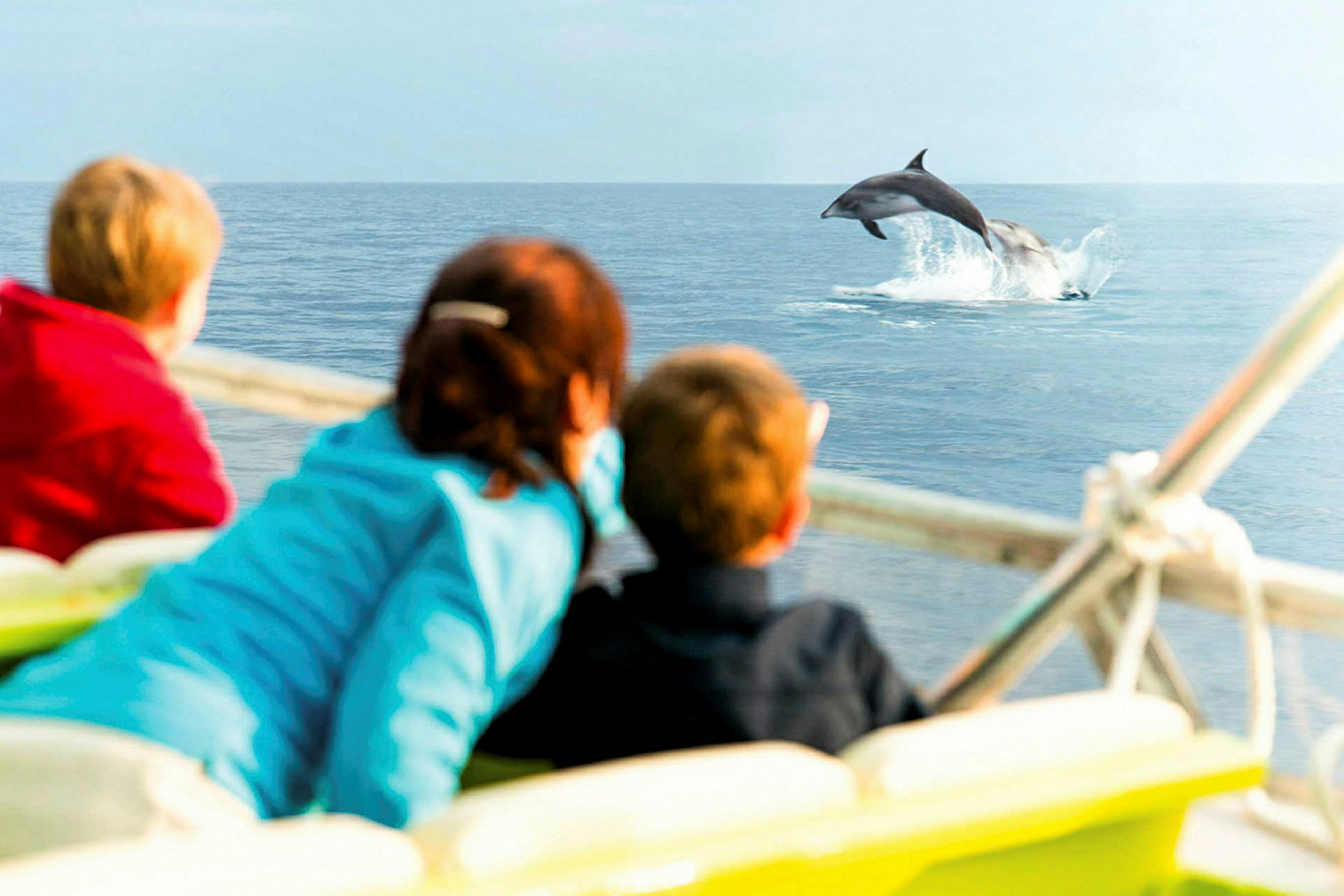 Tre personer på en båd ser en delfin hoppe op fra vandet. (AI-genereret tekst)