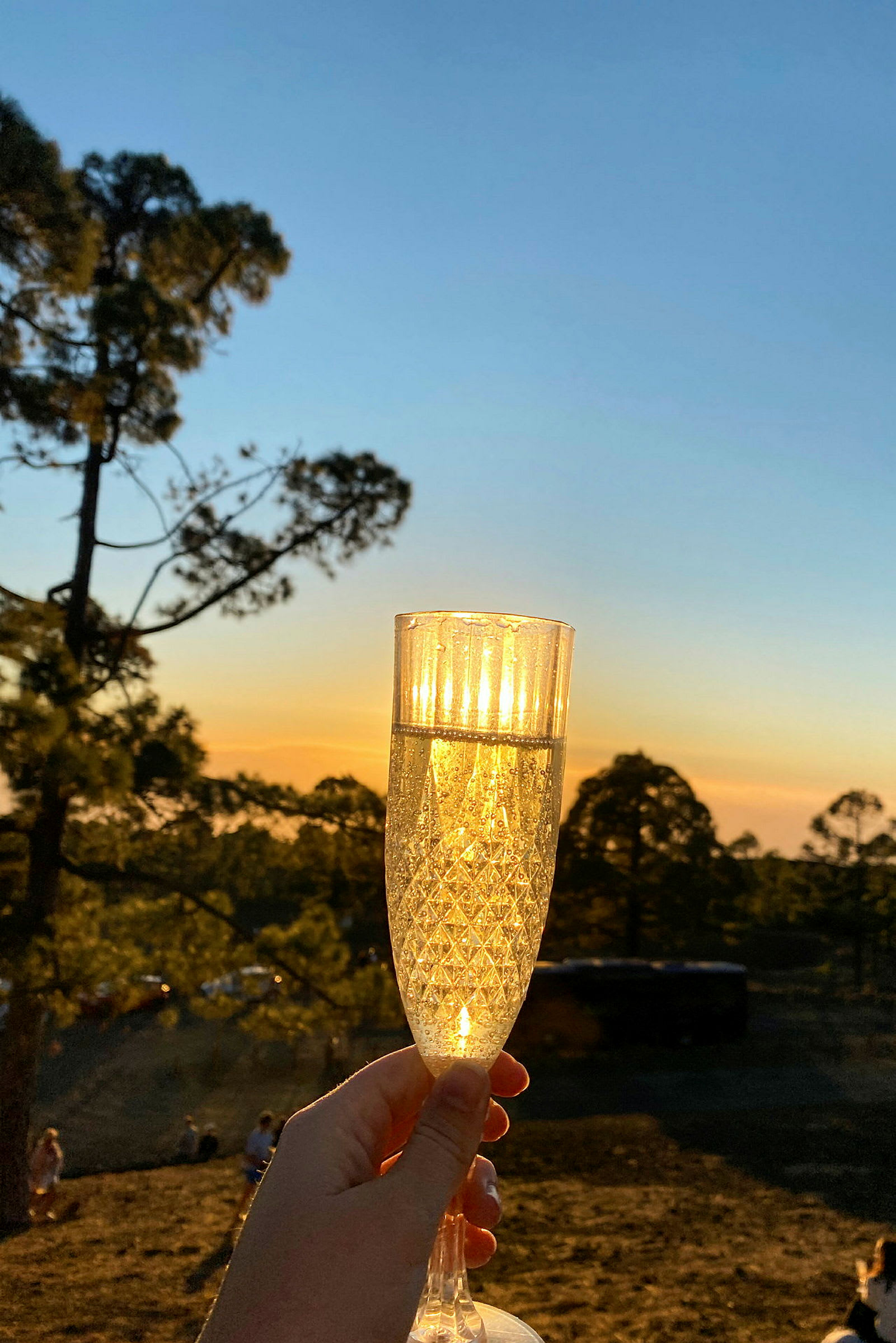 Et glas bobler i en hånd med solnedgang og natur i baggrunden. (AI-genereret tekst)