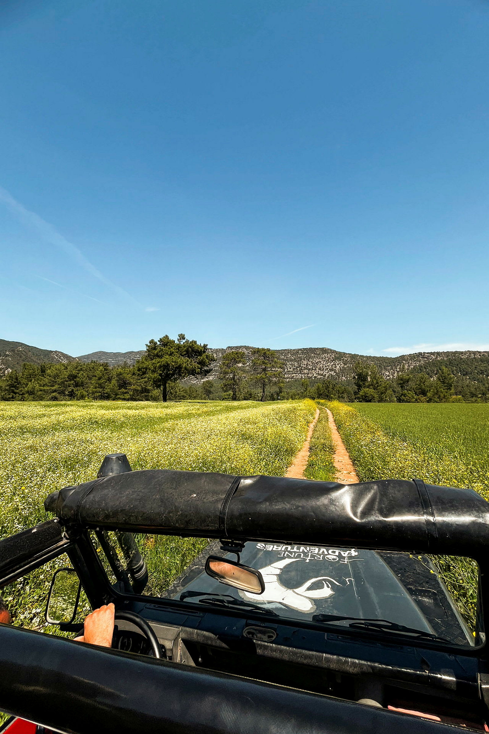 En jeep kører på en grusvej gennem en grøn eng med blomster og træer. I baggrunden ses en bjergkæde under en klar blå himmel. (AI-genereret tekst)