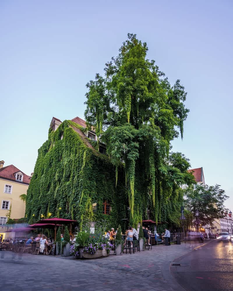 Bar (på overnatningsstedet)