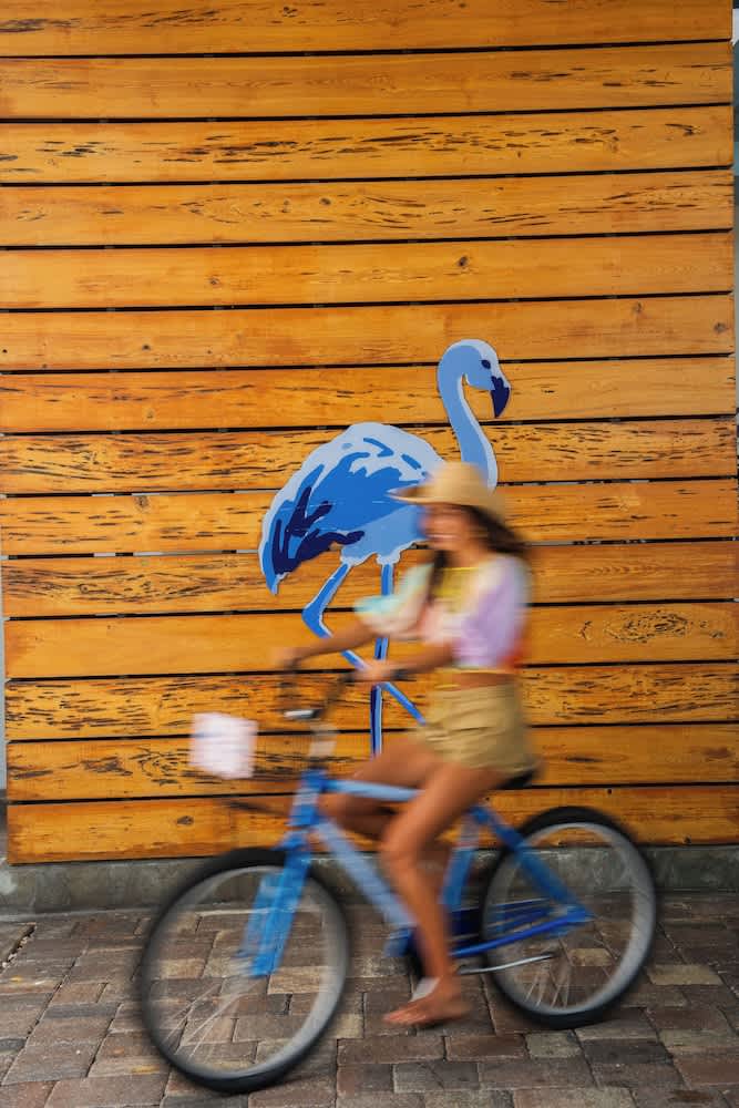 Cykling