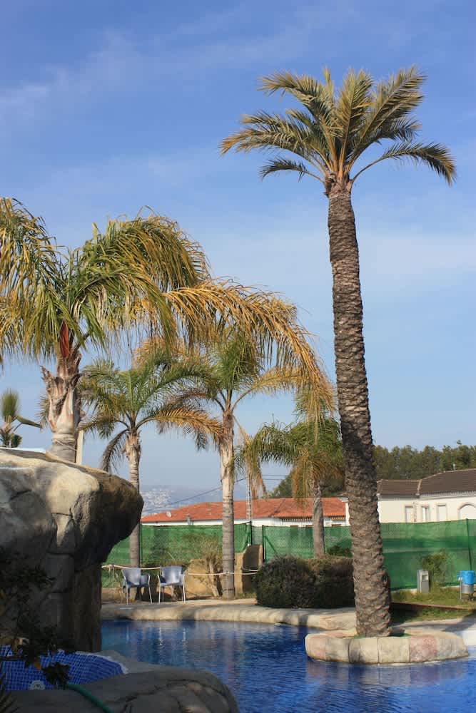 Udendørs pool