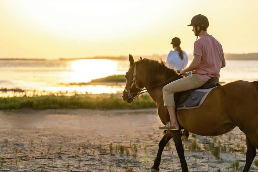 Diverse