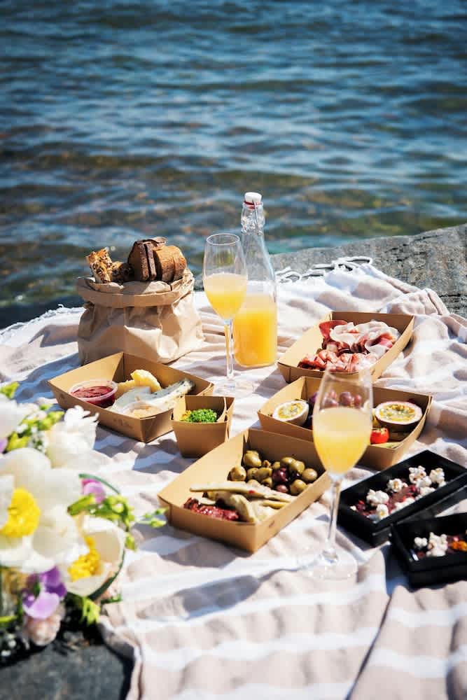 Grill-/picnicområde