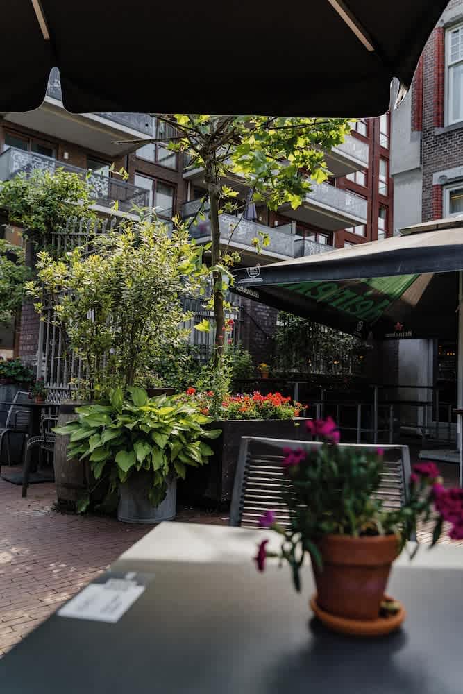 Terrasse/gårdhave