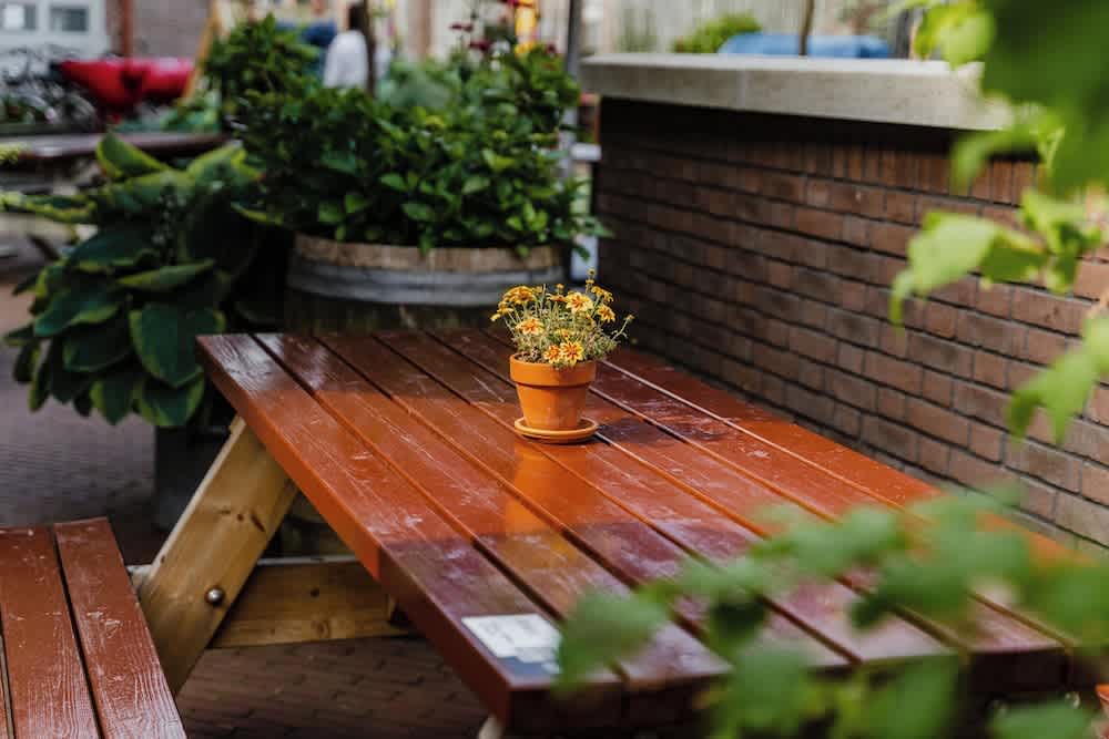 Terrasse/gårdhave