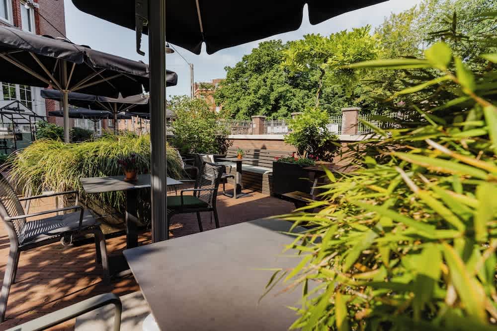 Terrasse/gårdhave