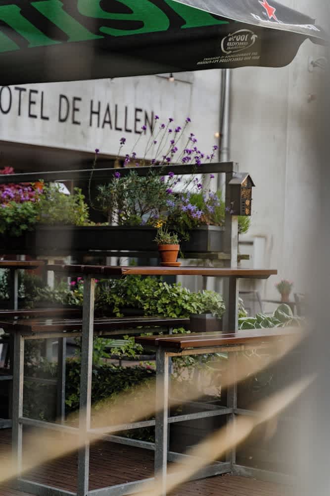 Terrasse/gårdhave