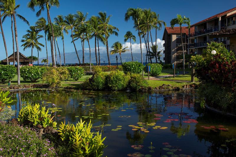Oversigtsbillede