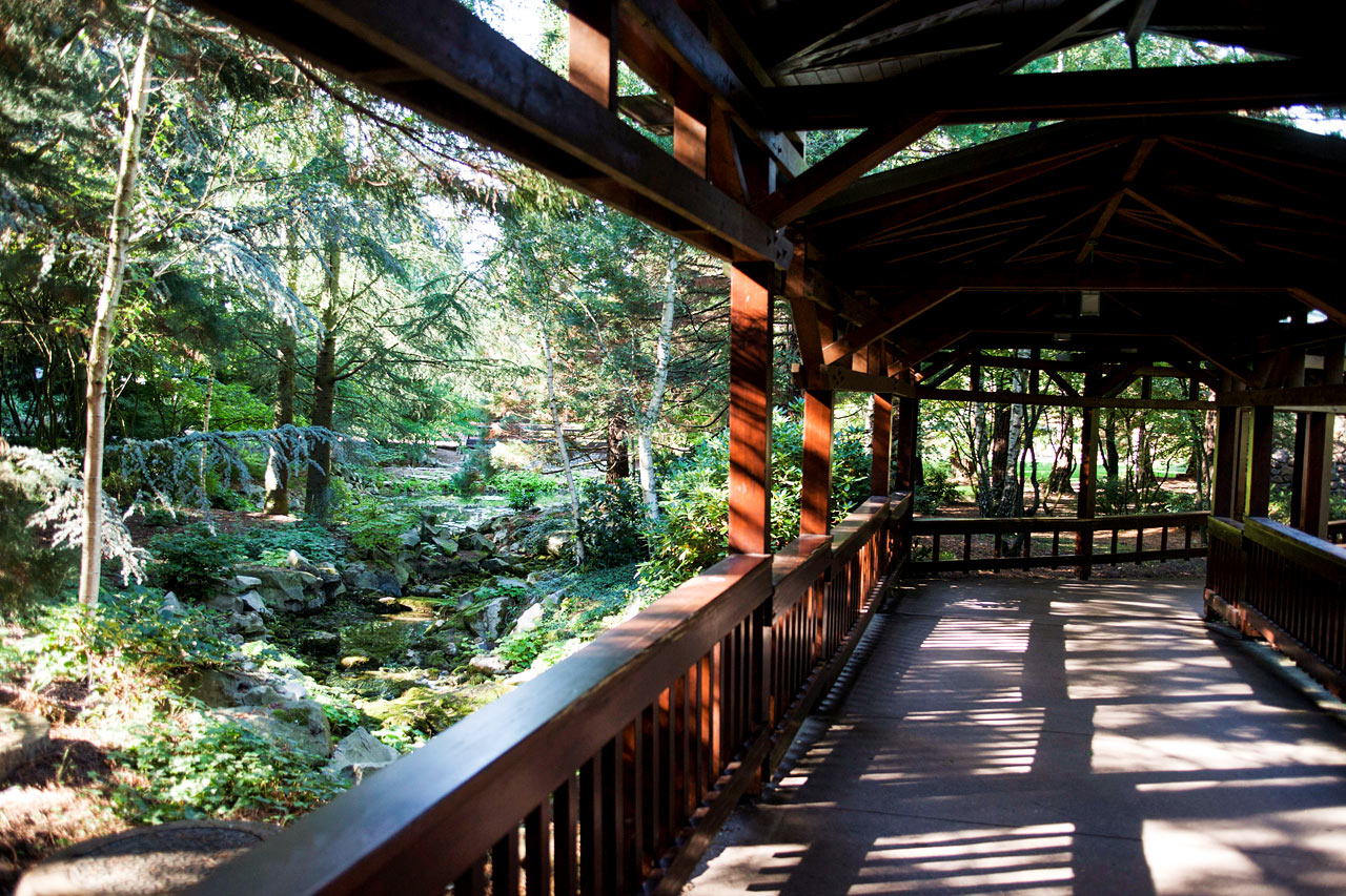 Billede av hotellet Disney's Sequoia Lodge® - nummer 9 af 11