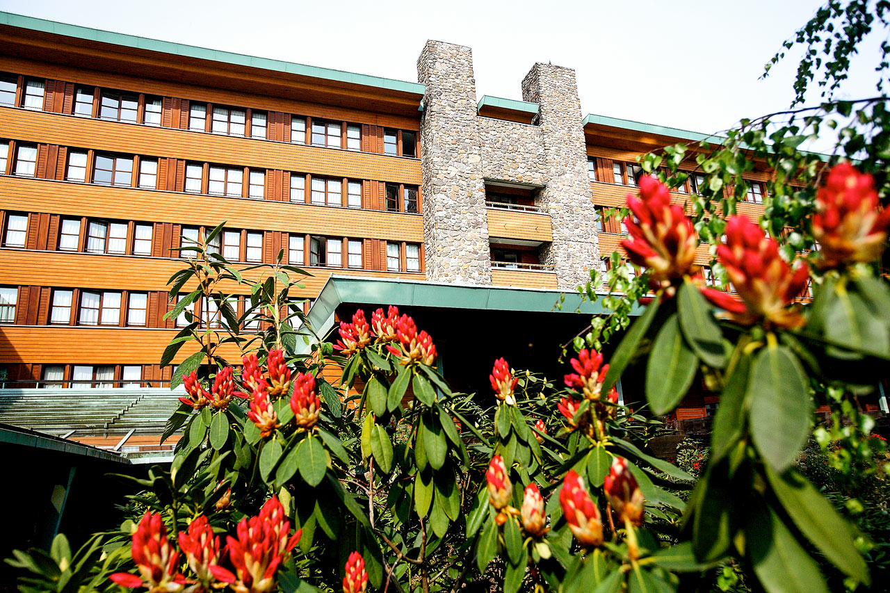 Billede av hotellet Disney's Sequoia Lodge® - nummer 11 af 11